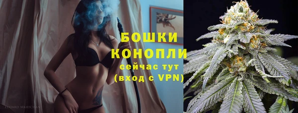PSILOCYBIN Алексин