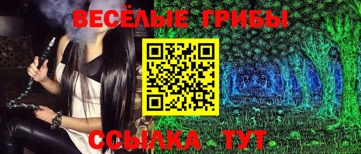 Псилоцибиновые грибы мухоморы  купить наркотики сайты  Беслан  Вход с VPN 