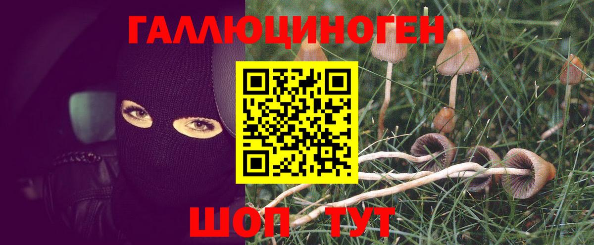 Галлюциногенные грибы мицелий Беслан